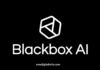 Illustration of a neural network representing Black Box AI’s complex decision-making process.